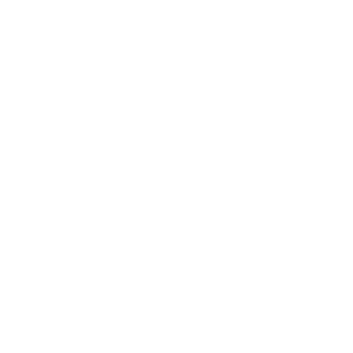 icono que emula el mundo conectado por una gran red